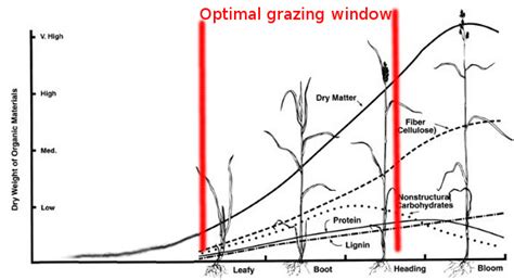 Pasture rotation problems | Avian Aqua Miser