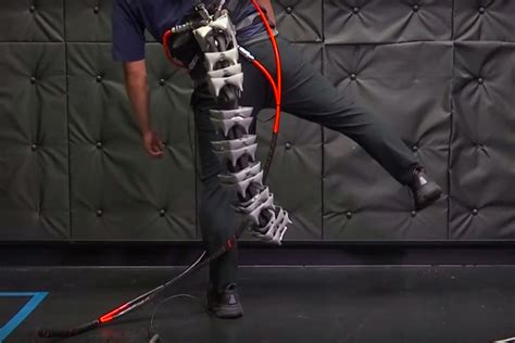 Japanese researchers build robotic tail to keep elderly upright, Asia, Digital News - AsiaOne