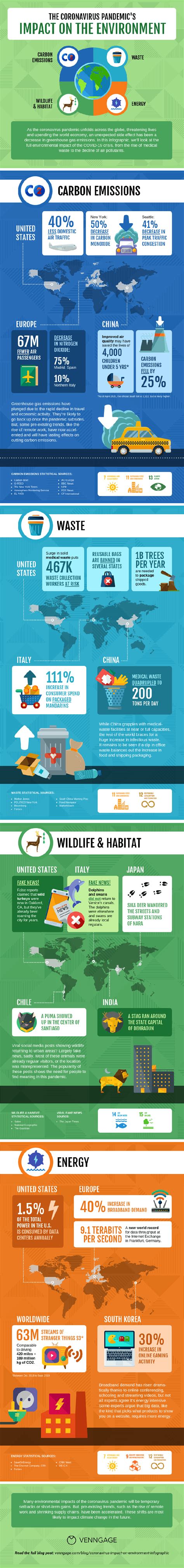 Pandemic's Environmental Impact Infographic Template - Venngage