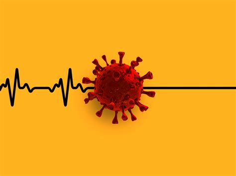 COVID-19 among top causes of death - NCI