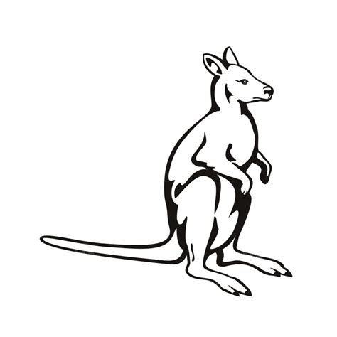 Wallabies PNG, Vector, PSD, and Clipart With Transparent Background for ...