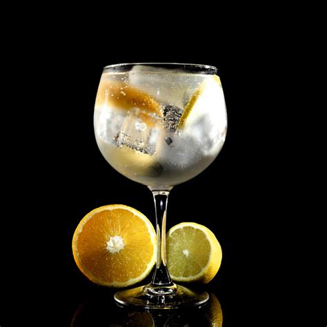 Drinks fáceis com gin para quem está aprendendo - Arapuru | Gin Infused ...