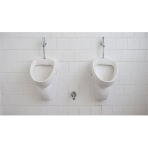 White Wall Mounted Urinals at Rs 200 in Delhi | ID: 19880634291