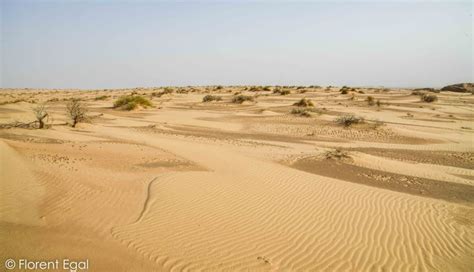 Sand dunes Archives - Saudi Arabia Tourism Guide