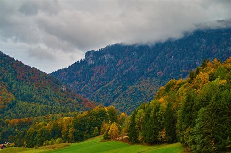 germany, Mountains, Forests, Autumn, Trees, Inzell, Nature Wallpapers ...