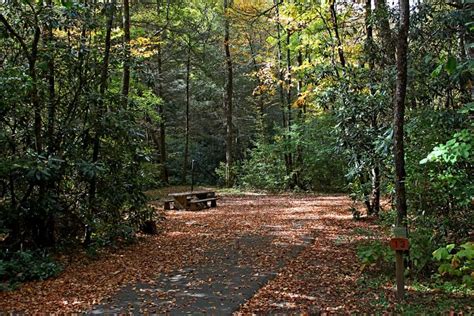 The 8 Best Camping Spots in the Nantahala National Forest