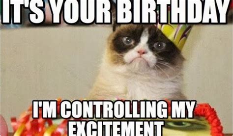 Angry Cat Birthday Meme Best Happy Birthday Cat Meme | BirthdayBuzz