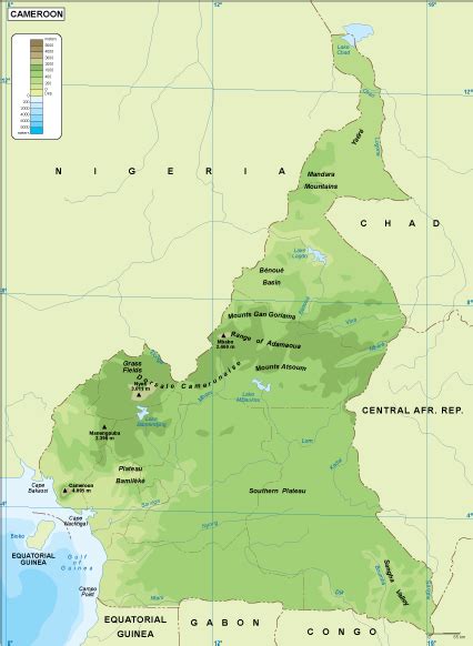 Cameroon physical map. EPS Illustrator Map | Vector World Maps