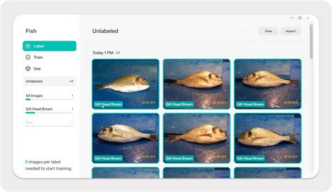 Lobe vs. Levity - Comparison Between Two No-Code AI Platforms