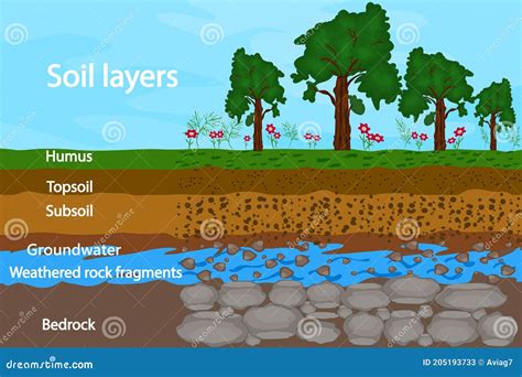 Soil Layers. Diagram For Layer Of Soil. Soil Layer Scheme. Cartoon Vector | CartoonDealer.com ...