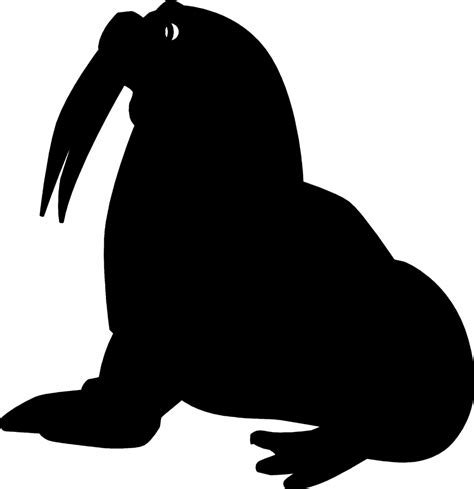 Seal Silhouette Free Stock Photo - Public Domain Pictures