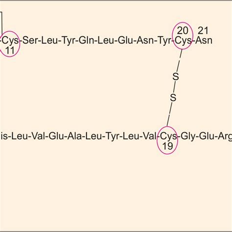 (PDF) Chapter-04 Proteins: Structure and Function