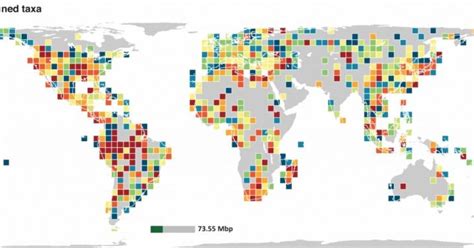 Global genetic diversity mapped by new study