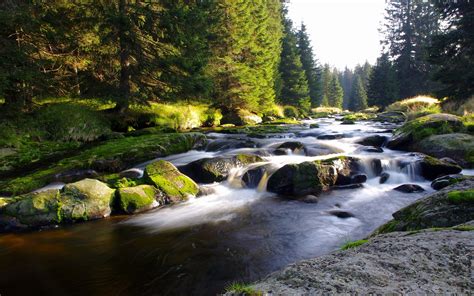 Why The Sound of Flowing Water Soothes You - Allen Pools & Spas