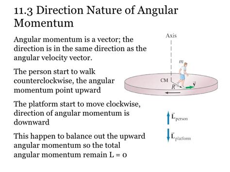 13 angular momentum