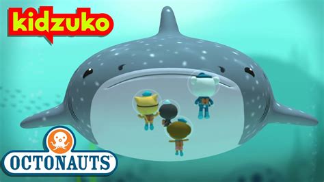 @Octonauts - The Whale Shark | Full Episode 10 | @Kidzuko - YouTube