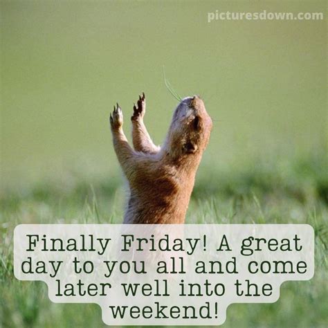 Good morning friday funny image rodent - picturesdown.com