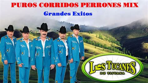 Los Tucanes De Tijuana Mix || Puros Corridos Perrones Mix 2021 - YouTube