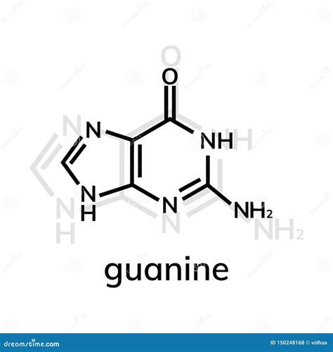 Guanine Chemical Formula Cartoon Vector | CartoonDealer.com #150249045