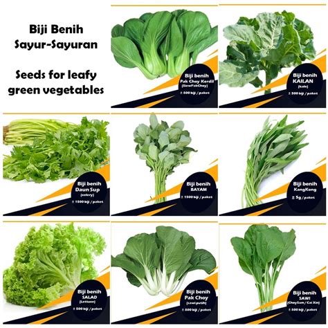 Biji Benih Sayur-Sayuran / Seeds for leafy green vegetables | Shopee Malaysia