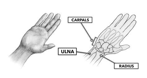 CrossFit | Movement About Joints, Part 3: Wrist