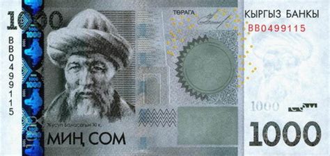 National Currency of Kyrgyzstan