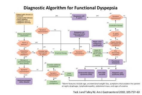 Serotonin Functional Dyspepsia Diet - cloudnews