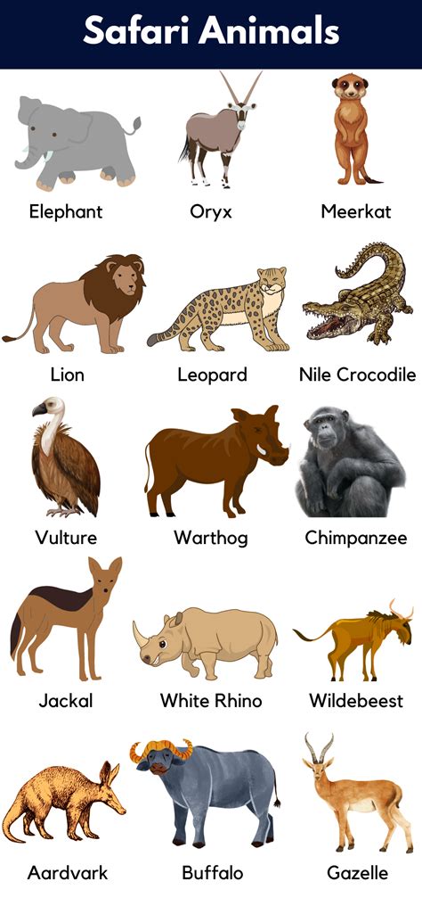 List of Safari Animals Names with Pictures - GrammarVocab