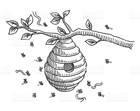 Bee Drawing Vector: Beehive On Branch Drawing Gm | Bee drawing, Bee art, Bumble bee art