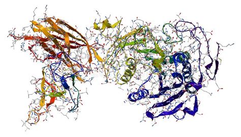 Enzyme Pancreatic Lipase-colipase Complex Stock Image - Image: 23887511