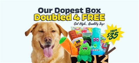 BarkBox - The Monthly Dog Toy and Treat Box