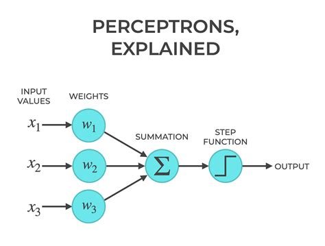 Perceptrons, Explained - Sharp Sight