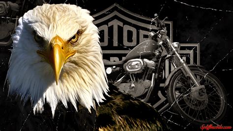 Harley Davidson Wallpapers - Wallpaper Cave