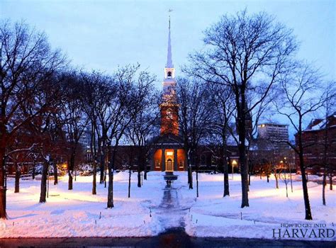 Harvard Campus Tour: 15 Best Places to Visit at Harvard - How to Get into Harvard