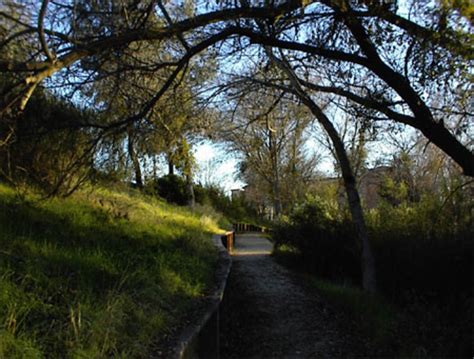 Great Short Hikes in North San Luis Obispo County: Paso Robles, Templeton, and Atascadero ...