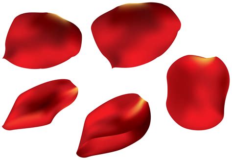 Flower Petals Clipart at GetDrawings | Free download