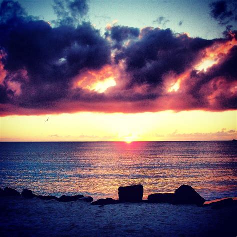 Antigua sunset | Sunset, Celestial, Antigua