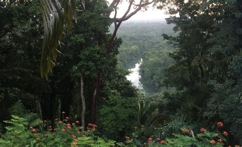 Copal Tree Lodge, Belize - Oliver Guide