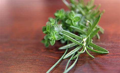Fresh Herbs On Wood Free Stock Photo - Public Domain Pictures