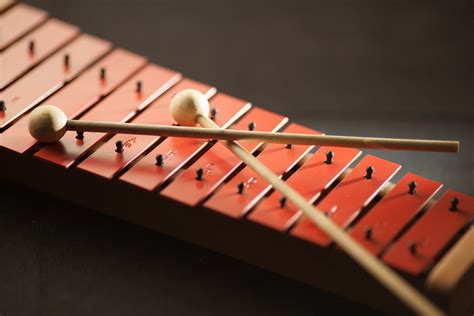 Le xylophone africain : découvrez tout sur cet instrument