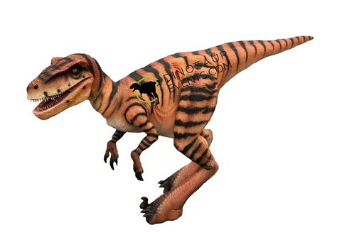 Realistic Dinosaur Png : Browse and download hd dinosaur png images with transparent background ...