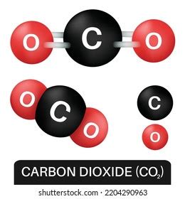 Chemical Formula Carbon Dioxide Stock Vector (Royalty Free) 2204290963 ...