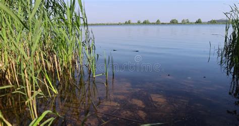 Lake in Sunny Summer Weather Stock Footage - Video of camping, blue: 301555640