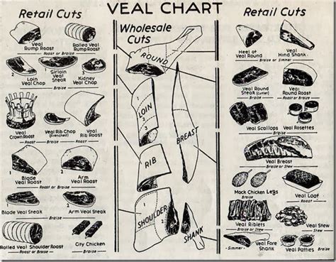 Garden and Farms: A 1954 Chart of Veal and Beef Retail Cuts