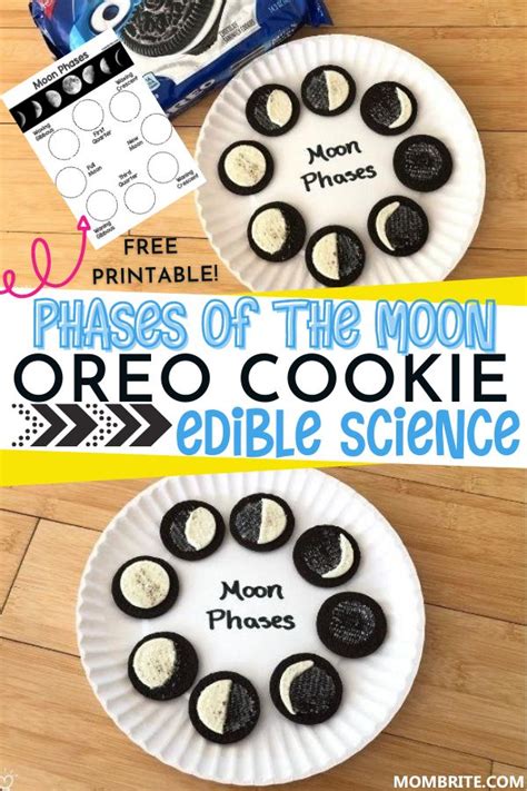 A delicious and educational edible Kids Science Experiment, Oreo Cookie ...