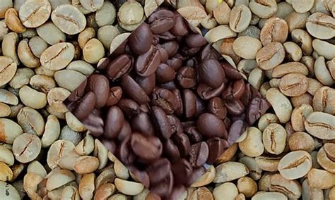 Coffee Beans | Coffee Beans roasted and un-roasted | P. L. Tandon | Flickr