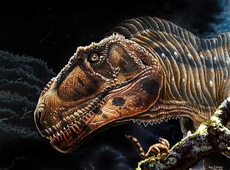 New Giant Carnivorous Dinosaur Unearthed in Argentina | Sci.News