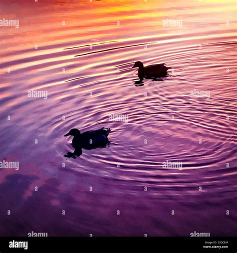 Radial gravity waves hi-res stock photography and images - Alamy