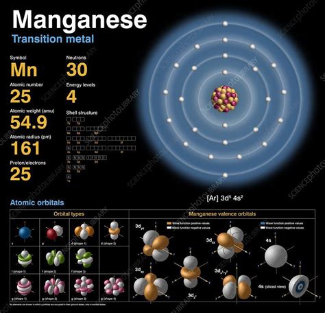 Manganese, atomic structure - Stock Image - C018/3706 - Science Photo ...