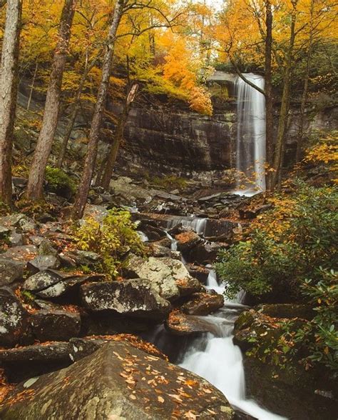 Best Spots for Capturing Fall Foliage in the Smoky Mountains | Smoky ...